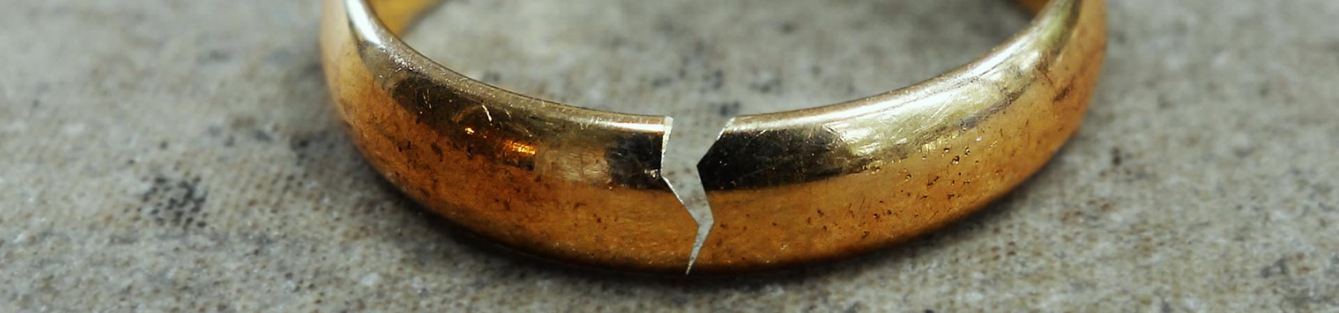 Donec posuere vulputate